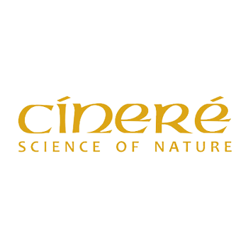 سینره - Cinere